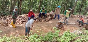 Demi TMMD, Bibit Bawang Merah Terlambat Ditanam