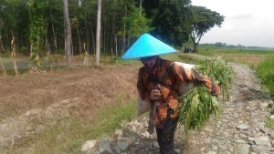 Kebahagiaan Haryati Saat Jalan Yang Biasa Dilaluinya Akan Dibangun TNI Kebahagiaan Haryati Saat Jalan Yang Biasa Dilaluinya Akan Dibangun TNI