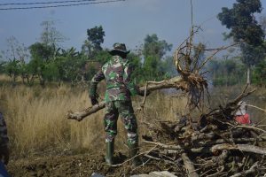 Dengan Kekuatan Semampunya Satgas TMMD 109 Angkat bongkahan Kayu Dengan Kekuatan Semampunya Satgas TMMD 109 Angkat bongkahan Kayu