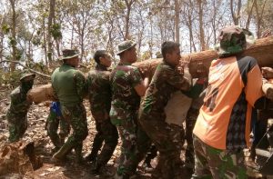 Secara gotong royong anggota Satgas TMMD angkat potongan kayu jati Secara gotong royong anggota Satgas TMMD angkat potongan kayu jati