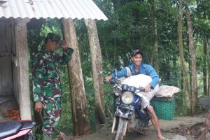 Jalan TMMD Mudahkan Warga Desa Sedayu Angkut Hasil Bumi
