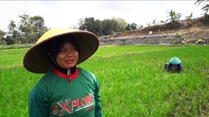 Senyum Petani Kalinusu Brebes Punya Jalan Baru Hasil TMMD Reguler Senyum Petani Kalinusu Brebes Punya Jalan Baru Hasil TMMD Reguler