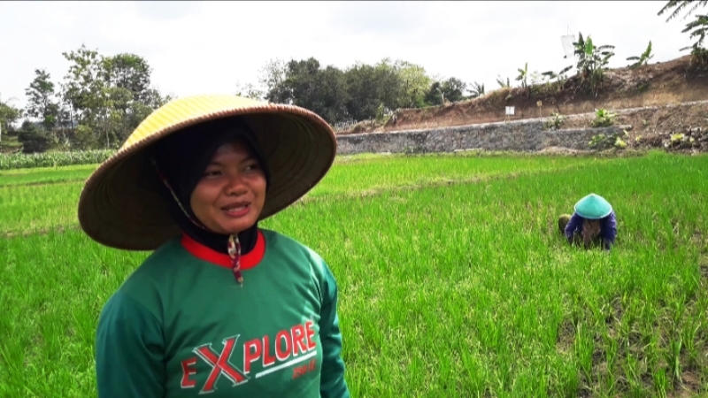 Senyum Petani Kalinusu Brebes Punya Jalan Baru Hasil TMMD Reguler