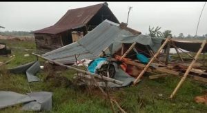 Puluhan Rumah di Lubuk Keliat Roboh Diterjang Angin Kencang