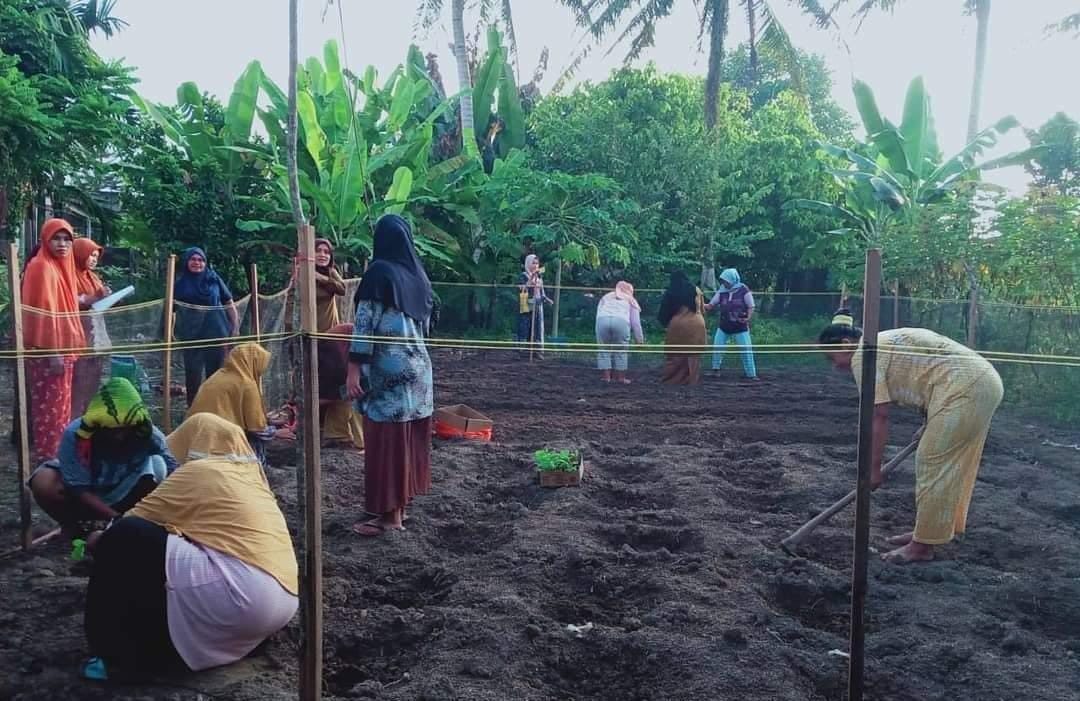 Nakhodai PKK Desa Angkasa, Kasmawati S.Pd Aktifkan Kembali Kebun Kelompok Dasawisma Desa