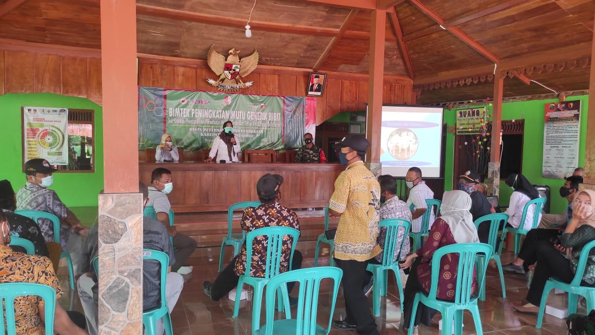 Tingkatkan Pengetahuan Masyarakat Peternak, TMMD Bojonegoro Berikan Bimtek Inseminasi Buatan