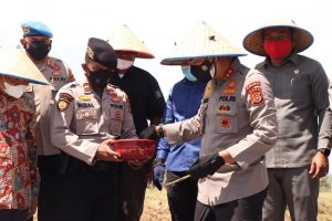 Kapolda Aceh Ikut Tanam Bawang Merah di Pidie