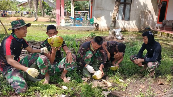 Buah Kelapa Muda Yang Ada di Lokasi TMMD Ke-111 Kodim 1207/Pontianak