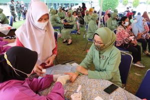 Berikan Penyuluhan Posyandu, Satgas TMMD Ke 111 Kodim 0412/LU Berikan Penyuluhan Posyandu, Satgas TMMD Ke 111 Kodim 0412/LU