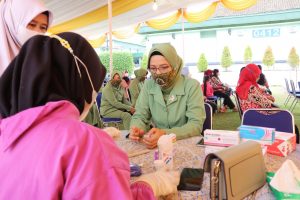 Satgas TMMD Ke 111 Gelar Penyuluhan Posyandu di Kodim 0412/LU