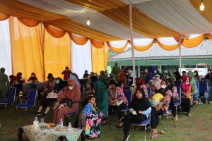 Gandeng Dinkes, TMMD Lampung Utara Gelar Penyuluhan Posyandu