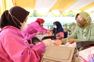 Penyuluhan Posyandu Jadi Program Non Fisik TMMD Ke 111