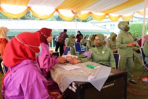 Non Fisik TMMD Ke 111 Kodim 0412/LU, Penyuluhan Stunting Posyandu