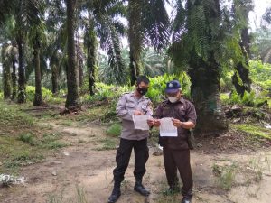 Polsek Pangkalan Kuras Kembali Patroli Karhutla di Lokasi Rawan Kebakaran Polsek Pangkalan Kuras Kembali Patroli Karhutla di Lokasi Rawan Kebakaran