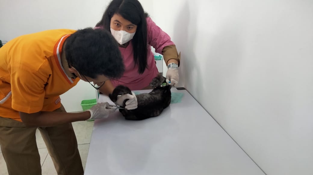 Peringati Hari Rabies, Pemprov Sumsel Gelar Vaksinasi Hewan Gratis