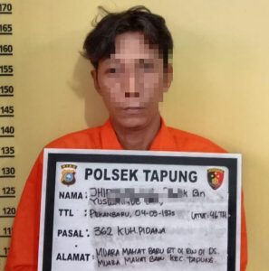 Curi 10 Ribu Batako senilai Rp 15 Juta, Pelaku Ditangkap Unit Reskrim Polsek Tapung Curi 10 Ribu Batako senilai Rp 15 Juta, Pelaku Ditangkap Unit Reskrim Polsek Tapung