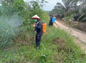 Polisi Polsek Ukui Gotong Royong Bersama Warga Desa Bukit Gajah Bersihkan Areal Tanaman Durian Polisi Polsek Ukui Gotong Royong Bersama Warga Desa Bukit Gajah Bersihkan Areal Tanaman Durian