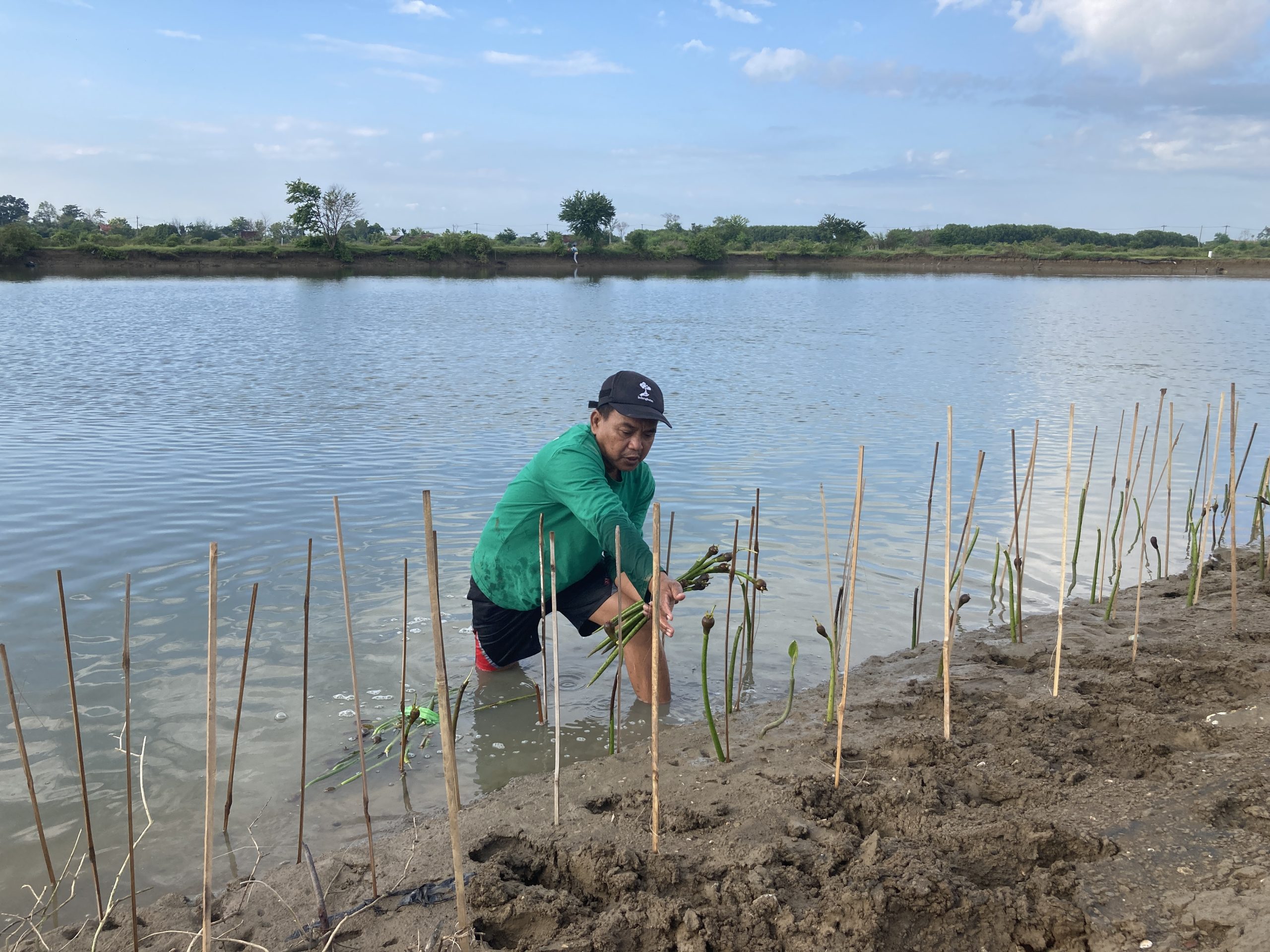 Kegiatan penanaman pohon Cause ID bersama mitra petani di Pantai Kartika Jaya (Dokumentasi: LindungiHutan).