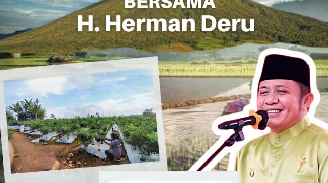 Sebanyak 214 Penghargaan Telah Diterima Herman Deru Selama 5 Tahun Kepemimpinannya