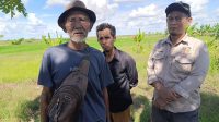 Akses Jalan Terputus Saat Hujan, Petani Desa Ulak Kembahang Tagih Perhatian Pemerintah