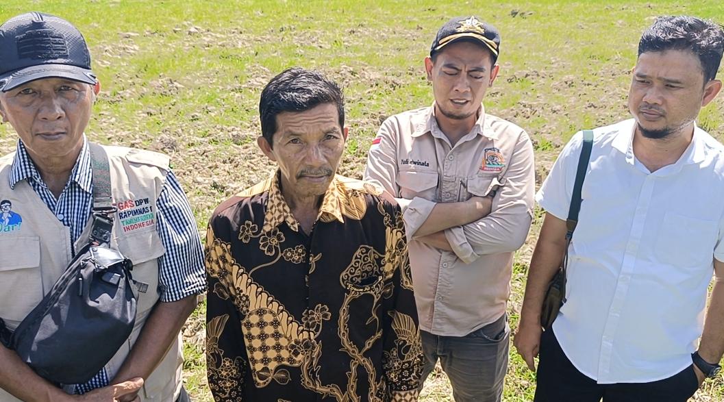 300 Hektare Sawah di Ulak Kembahang Terancam Puso, Petani Desak Solusi Sumur Bor