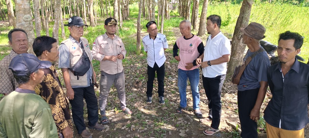 Kekeringan Menghantui, Ratusan Petani Lubuk Keliat Terancam Puso: DPD Tani Merdeka Ingatkan Risiko Lonjakan Stunting