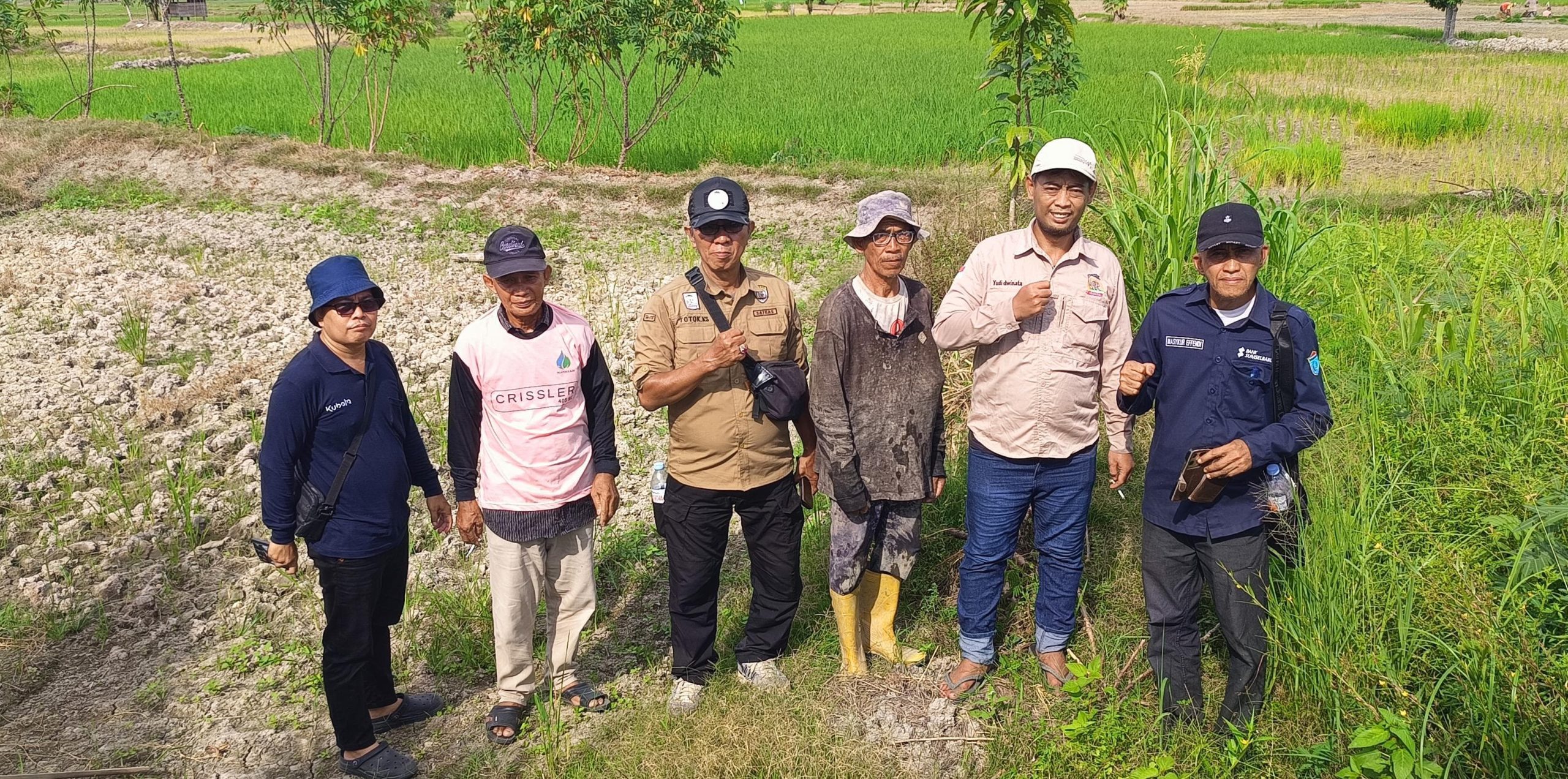 Dampak Kekeringan, DPW Tani Merdeka Indonesia Sumsel Tinjau Sawah Terdampak di Ogan Ilir