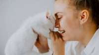Kenali 8 Penyebab dan Cara Mengatasi Kucing Menangis Kenali 8 Penyebab dan Cara Mengatasi Kucing Menangis