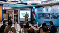 India-Indonesia Jajaki Peluang Investasi di Gujarat Menjelang Vibrant Gujarat Global Summit 2027