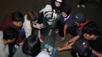Semarak BRILiaN Culture Festival, Pekerja BRI Region 6 Ikuti Games Perkuat Teamwork